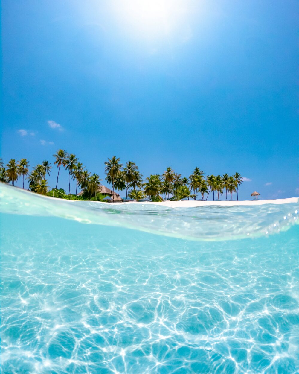 南国の海辺の風景